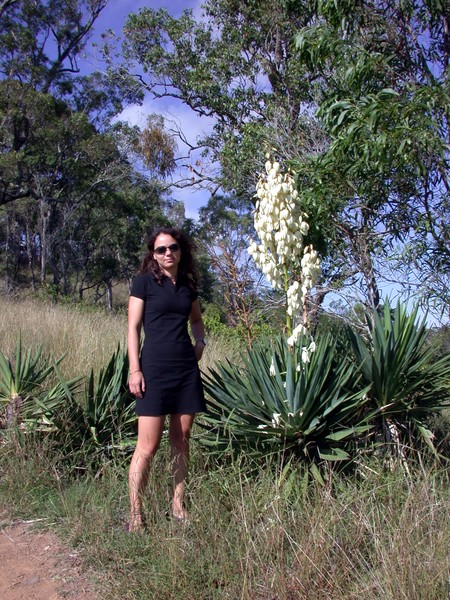 Claudia